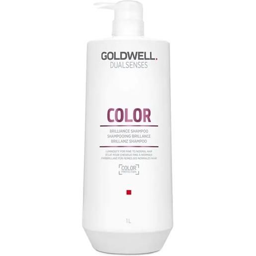 GOLDWELL ds color shampoo 1000ml