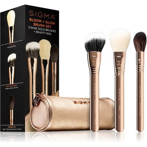 Sigma Beauty brush set bloom + glow