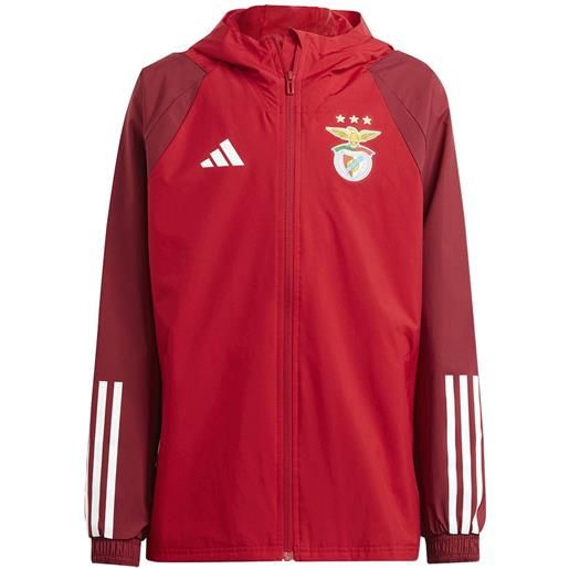 Adidas sl benfica 23/24 junior jacket away rosso 15-16 years