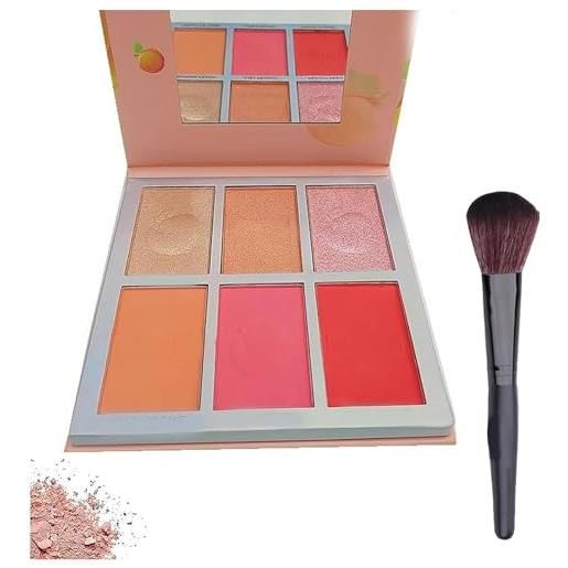Aicoyiu 6 colors blush palette matte blush powder blush palette matte blush powder blush palette cheek blush powder long-lasting pigment for facial makeup. (2#)
