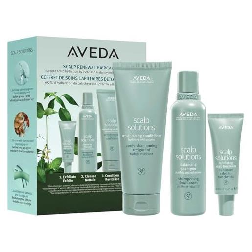 Aveda scalp solutions renewal haircare kit