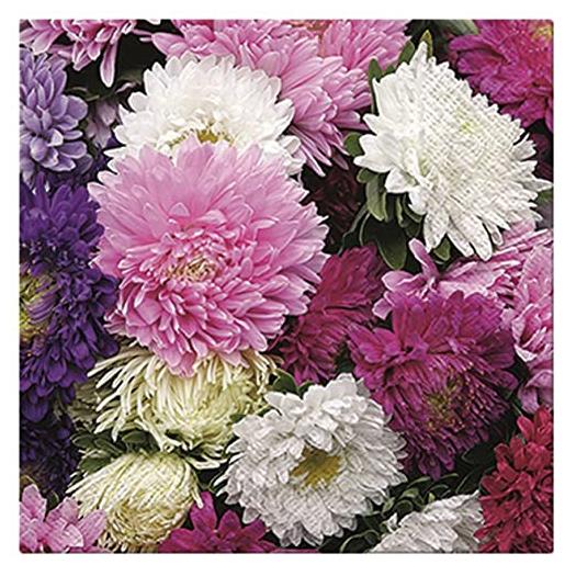 neu premium collection by jean 20 tovaglioli con fiori estivi e fiori di dalia