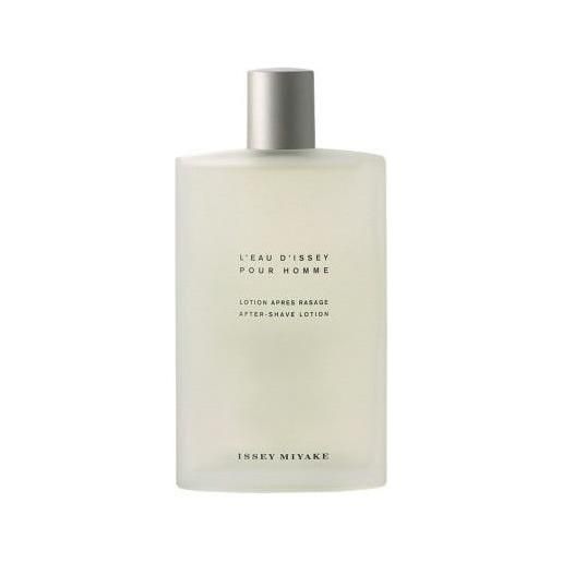 Issey Miyake l'eau d'issey pour homme 100 ml