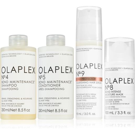 Olaplex protect & hydrate kit protect & hydrate kit
