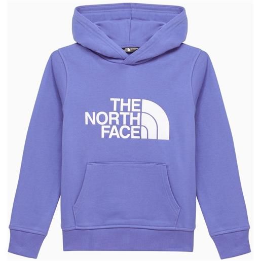 The North Face felpa con cappuccio blu in cotone con logo