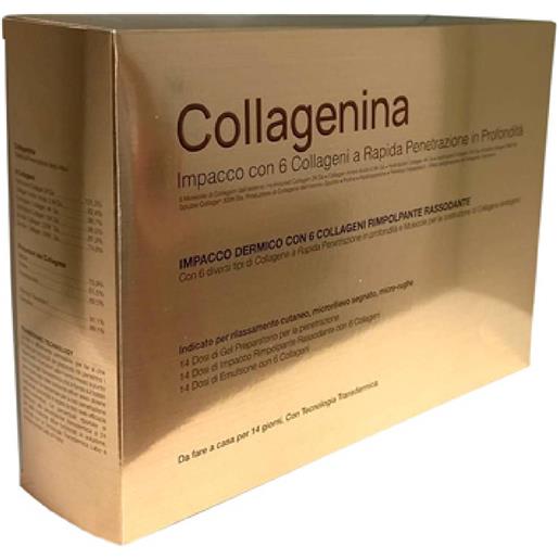 Labo collagenina impacco dermico con 6 collageni grado 3