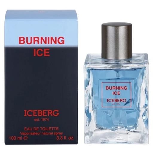 Iceberg burning ice 50ml