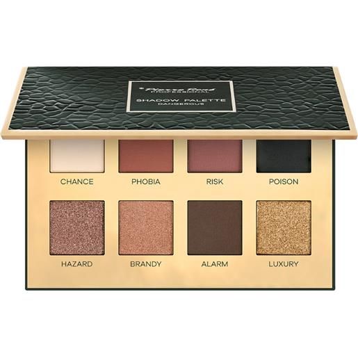 Pierre Rene pericoloso palette di ombretti 10.4 g