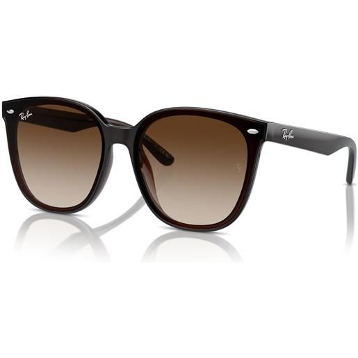 Ray-Ban rb 4423d (714/13)