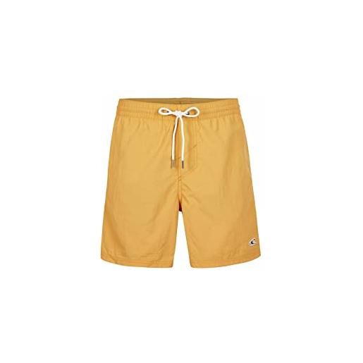 O'NEILL vert swim 16 shorts, costume a pantaloncino uomo, 12014 sunny lime, xxl/3xl