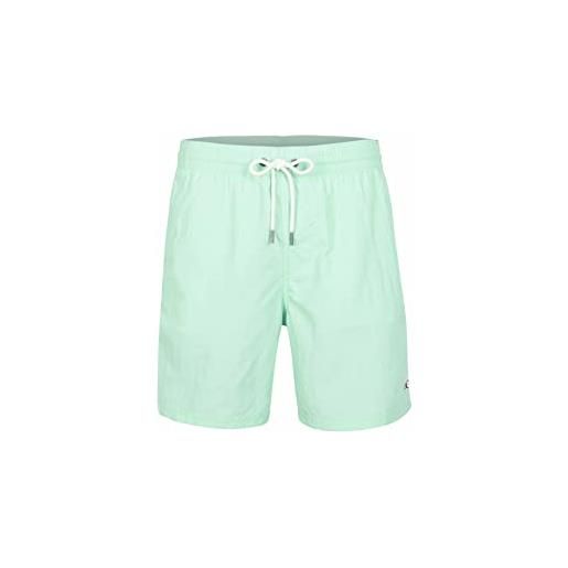 O'NEILL vert swim 16 shorts, costume a pantaloncino uomo, 12019 dandelion, m/l