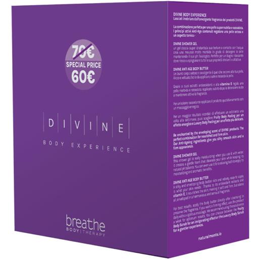 Box divine body experience