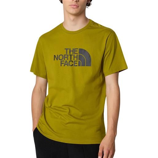 The North Face t-shirt da uomo easy verde