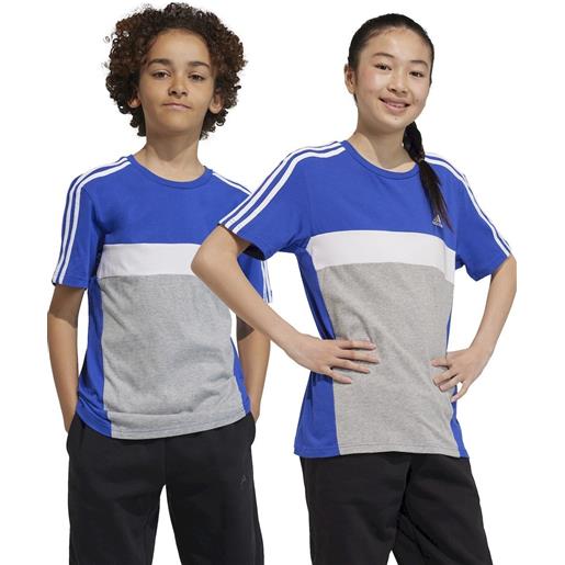 T-shirt maglia ragazzi unisex adidas grigio blu tiberio 3-stripes cb junior ij8732