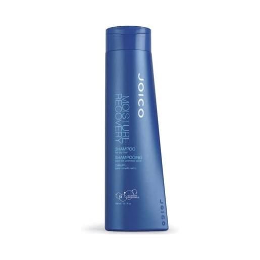 Joico 0000002250 moisture recovery shampoo - 300 ml