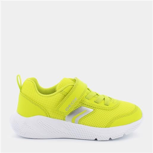 GEOX sneakers geox da bambino , giallo fluo