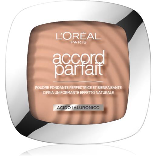 L'Oréal Paris accord parfait accord parfait 9 g
