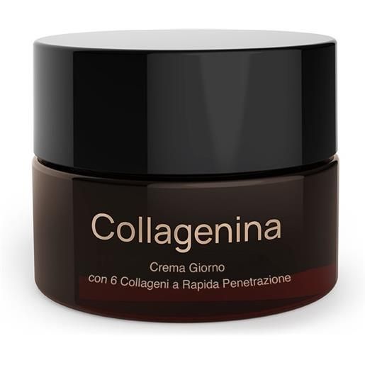 Labo International collagenina crema giorno 6 collageni grado 2 50 ml