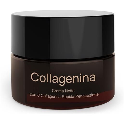 Labo International collagenina crema notte 6 collageni grado 2 50 ml
