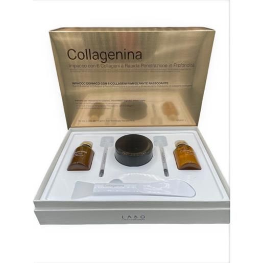LABO INTERNATIONAL Srl collagenina impacco 6 collageni grado 1 trattamento 14 giorni
