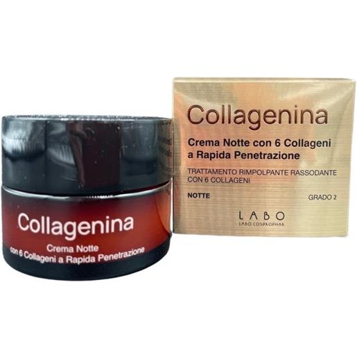 LABO INTERNATIONAL Srl collagenina crema notte 6 collageni grado 2 50 ml