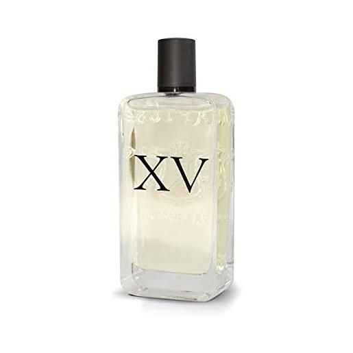 Dodici raptus xv profumo raptus numero 15 (100 ml)