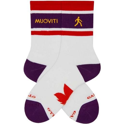 GALLO calza corta spugna muoviti