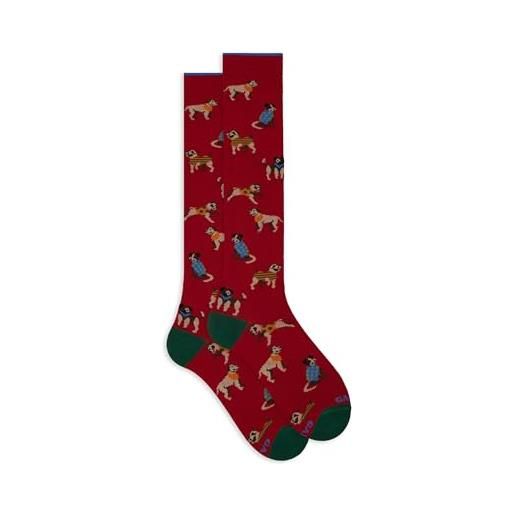 Gallo calze lunghe uomo rosso fantasia cani