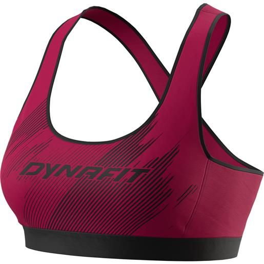 Dynafit alpine graphic bra beet red - top sportivo