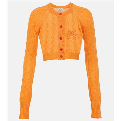 Etro cardigan pegaso in cashmere a trecce