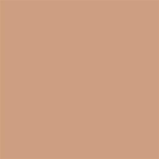 Clinique stay-matte sheer pressed powder - cipria compatta opacizzante - n. 17 stay golden