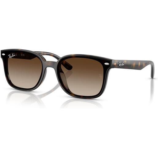 Ray-Ban rb 4461d (710/13)