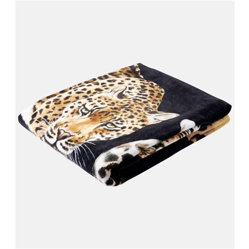 Dolce&Gabbana Casa telo mare leopardo in cotone