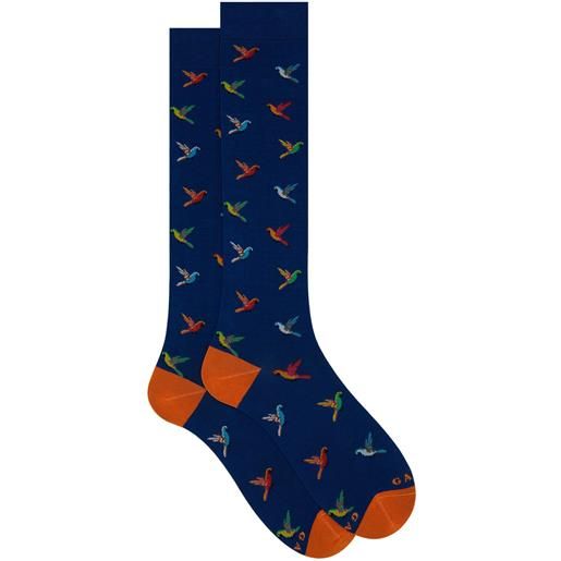 GALLO calza lunga cotone superlight pappagalli