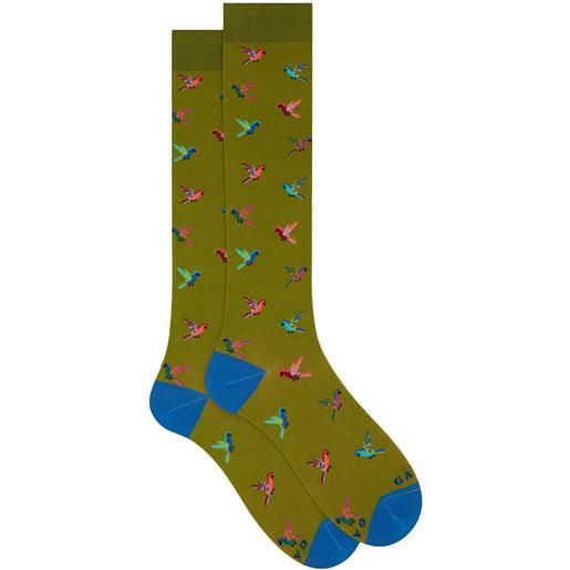 GALLO calza lunga cotone superlight pappagalli