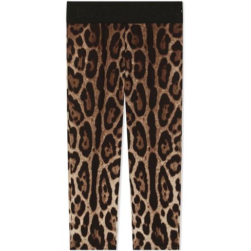 Dolce & Gabbana Kids leggings con stampa - marrone