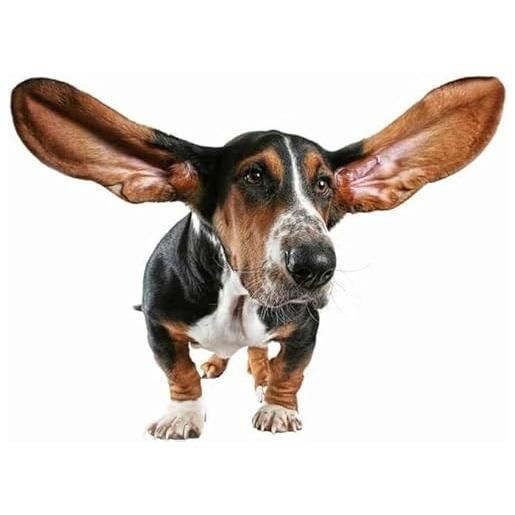 MisShow vestiti da cerimonia da donna scollo a v linea ad a con spacco stile impero abito lungo donna elegante verde scuro 44