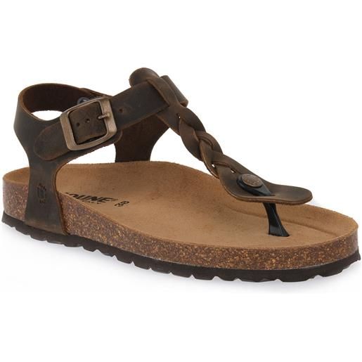 BIOLINE 994 marrone ingrassato