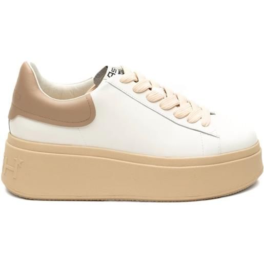 スニーカー ASH ADDICT03BIANCO Sneakers Addict Bianca E Argento sneakers Addict bianca e argento