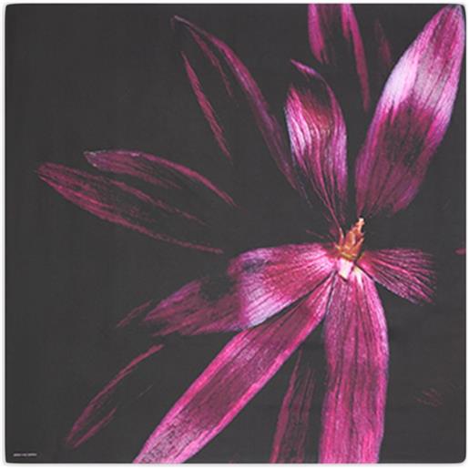 DRIES VAN NOTEN foulard in seta a fiori - nero
