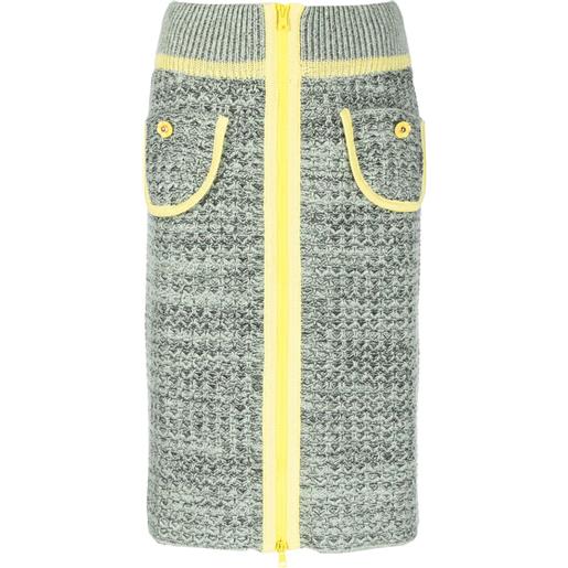 CORMIO gonna con ricamo a fiori - argento