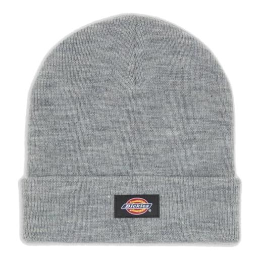 Dickies bonnet gibsland