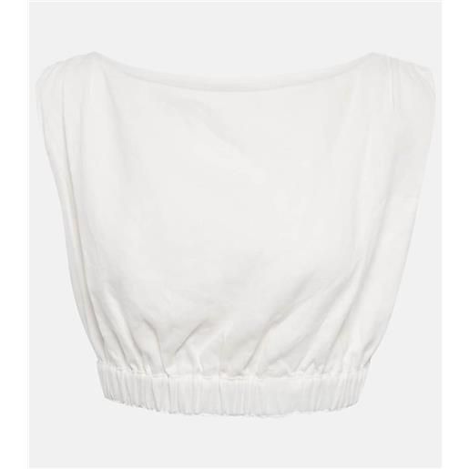 SIR top cropped in lino