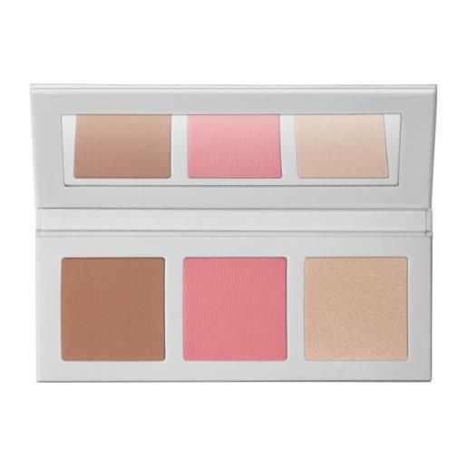 Diego dalla Palma icy bloom - palette polveri viso palette polveri viso -