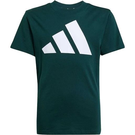 ADIDAS t-shirt bl tee 160 bambino