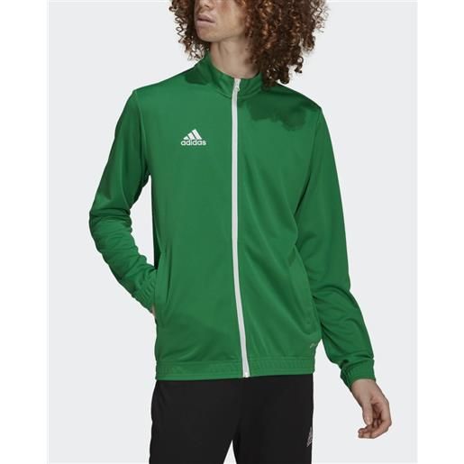 adidas giacca tuta allenamento uomo adidas verde entrada training