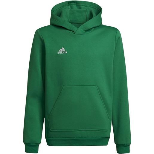 adidas felpa cappuccio hoodie ragazzo bambino adidas entrada y verde cotone felpato