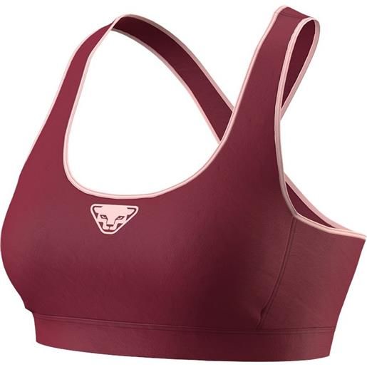 DYNAFIT alpine bra w top trail running donna