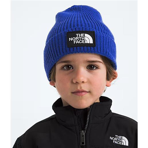 cuffia the north face